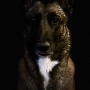 Meet your Posher, Kenneth